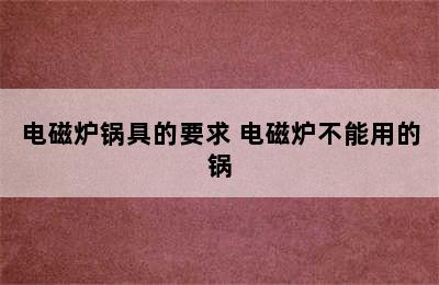 电磁炉锅具的要求 电磁炉不能用的锅